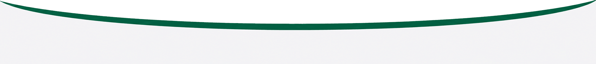 mascarabannerverde